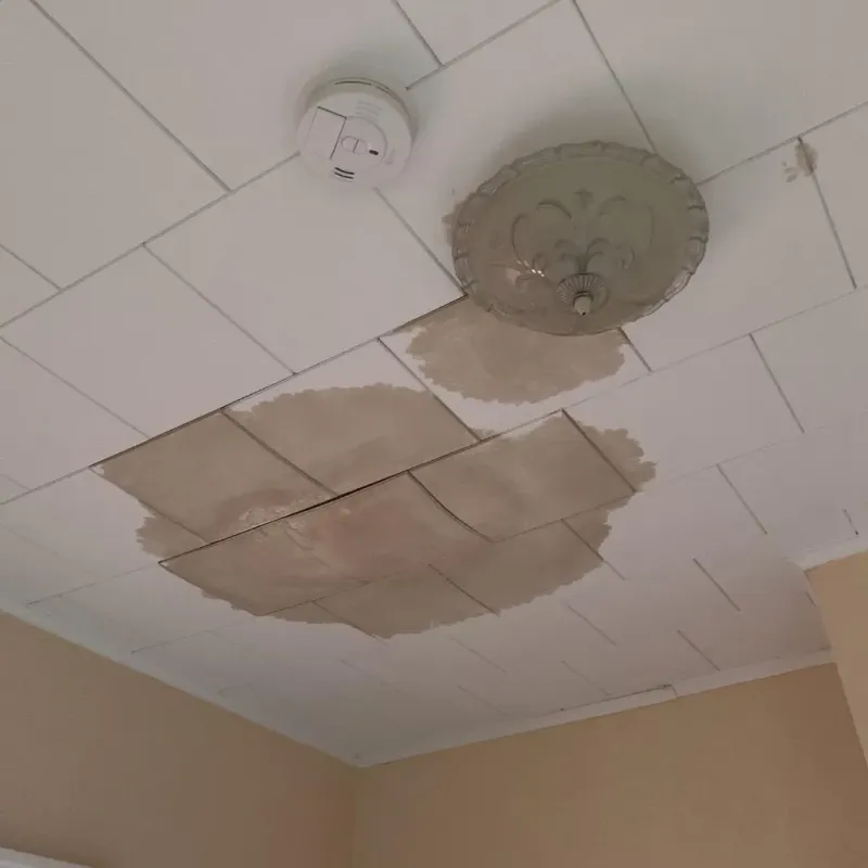 Ceiling Water Damage Repair in Shamokin Dam, PA