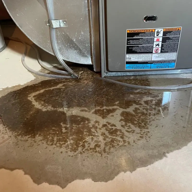 Pipe Burst and Leak Restoration in Shamokin Dam, PA